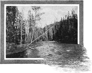 Scene on the Gibbon River