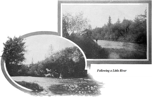 Following a Little River At the Head of the Meadow