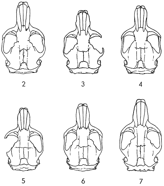 Figures 2-7