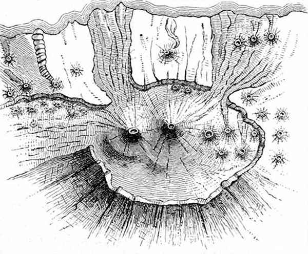 Fig. 5.  Plan of the Peak of Teneriffe, showing how it resembles a lunar crater. (A. Geikie.)