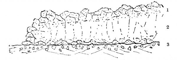 Fig. 40.  Section of a lava-flow. (J. Geikie.)  1, Slaggy crust, formed chiefly of scoriæ of a glassy nature. 2, Middle portion where crystals form. 3, Slaggy crust which has slipped down and been covered by the flow.