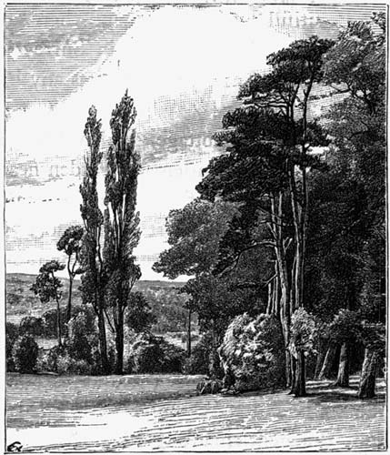 Golder's Hill, Hampstead