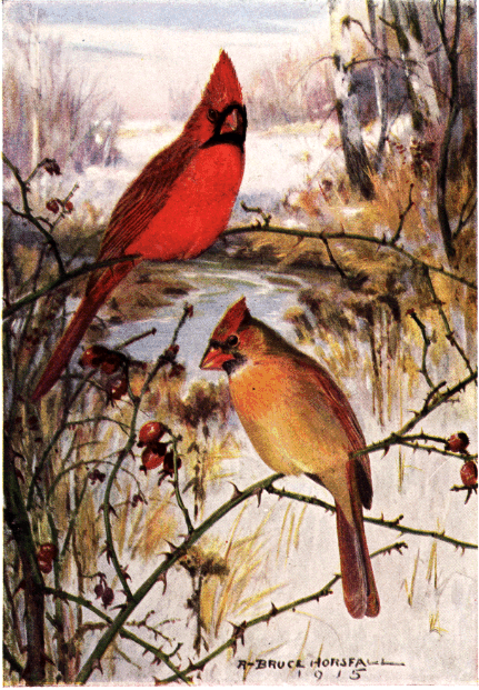 CARDINAL