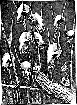 TROPHY OF BEARS' SKULLS