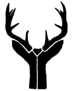 Deer Antlers