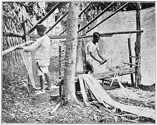 Vicols Preparing Hemp.—Drawing Out the Fibre.