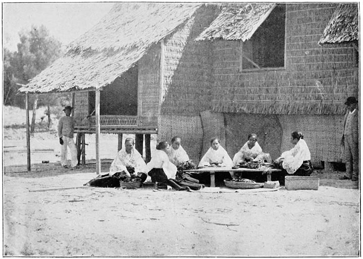 Group of women making Cigars.