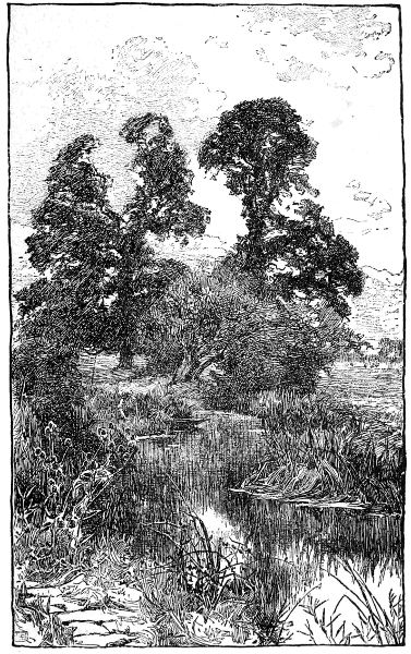 ELMS BY BIDFORD GRANGE. BY ALFRED PARSONS. REPRODUCED FROM QUILLER COUCH'S 'THE WARWICKSHIRE AVON.'  BY LEAVE OF OSGOOD, McILVAINE AND CO.