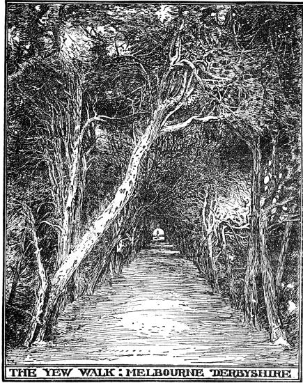 THE YEW WALK; MELBOURNE DERBYSHIRE  BY F. INIGO THOMAS.  FROM BLOMFIELD'S 'THE FORMAL GARDEN.'  BY LEAVE OF MESSRS. MACMILLAN.