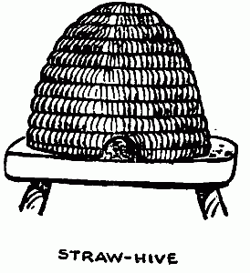 STRAW-HIVE