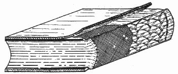 Figure 12.—Split boards. In actual work the back-lining would cover the entire back.