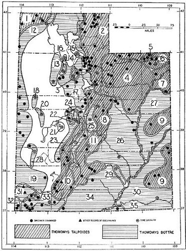 Fig. 1. Map showing the distribution of species and subspecies of pocket gophers in Utah.