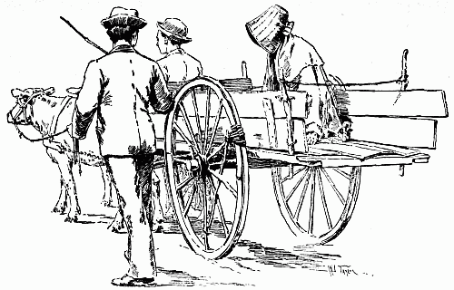 Woman in back of  wagon