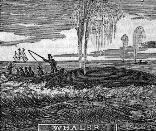 WHALER.