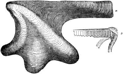 Fig. 131