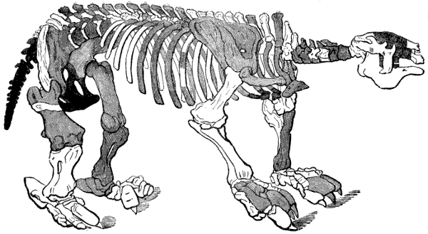 Plate XXVII