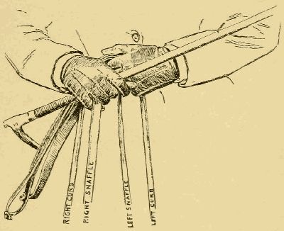 POSITION OF REINS AND HANDS IN JUMPING, CURB OUTSIDE, SNAFFLE INSIDE