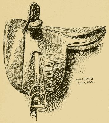 CORRECT SADDLE