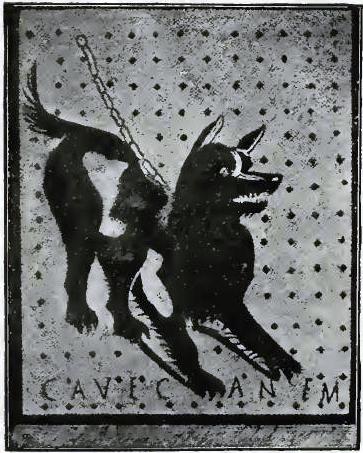 FIGURE 41. MOSAIC DOG