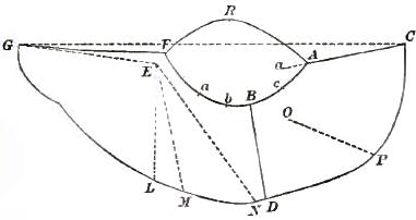 FIGURE 86. CUT OF TOGA