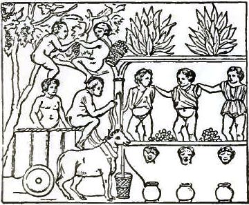 FIGURE 117. MAKING WINE