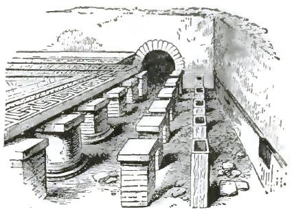 FIGURE 172. SUSPENSURA