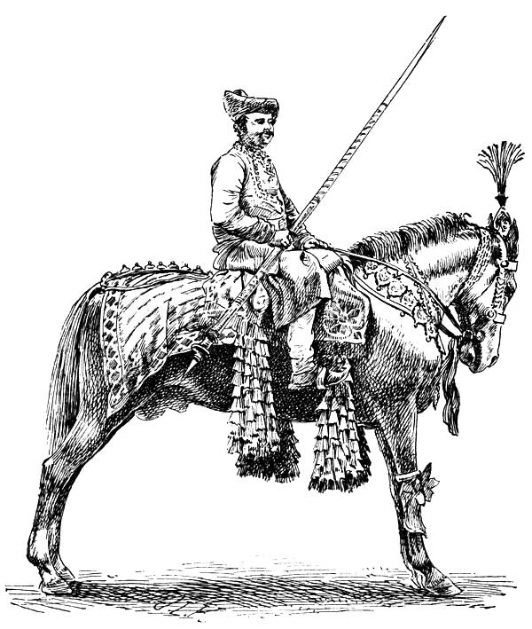 A RAJA'S CHARGER (MARWAR BREED)