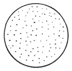 FIG. 1. THESE 100 DOTS SHOW HOW MANY PEOPLE PER CENT. ARE BORN BALD.