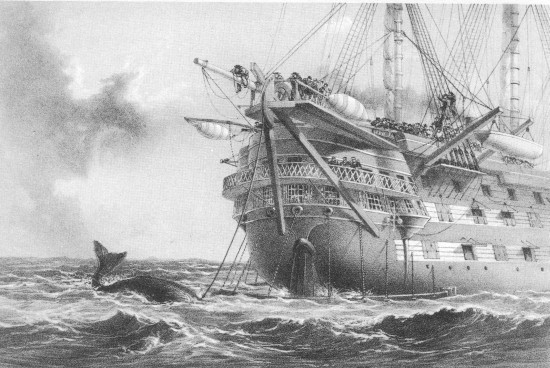 R. M. Bryson, lith from a drawing by R. Dudley  London, Day & Sons, Limited, Lith.  H.M.S. “AGAMEMNON” LAYING THE ATLANTIC TELEGRAPH CABLE IN 1858. A WHALE CROSSES THE LINE.