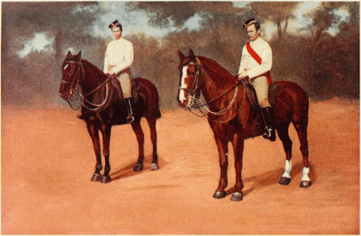 MOUNTED INFANTRY