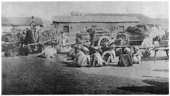 Gonds with their bamboo carts at market