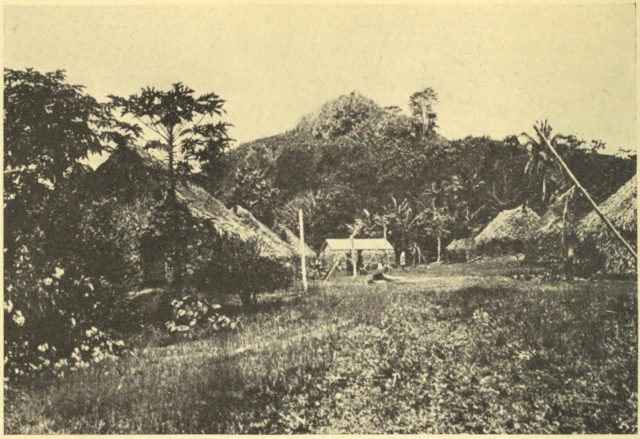 A FIJIAN MAIN STREET