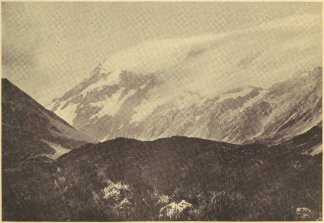 MOUNT COOK OF THE NEW ZEALAND ALPS IN SUMMER