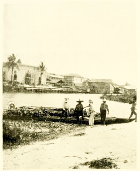 UNLOADING BANANAS, TAMPICO.