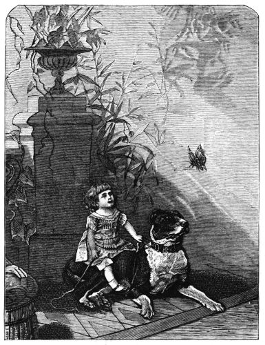 Child riding a dog and watching a butterfly