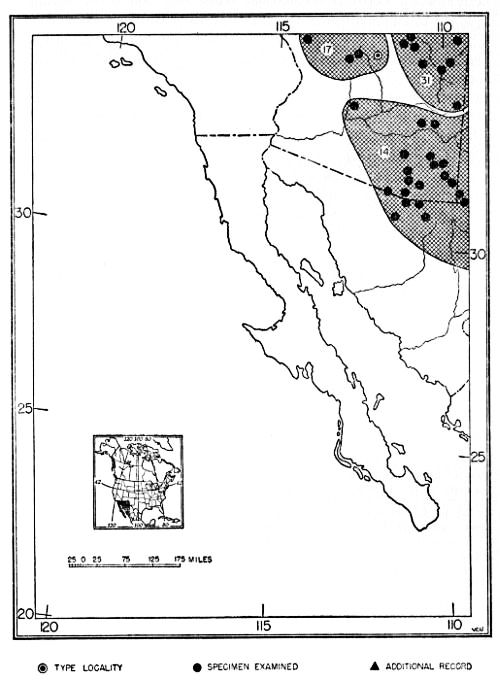 Fig. 26.