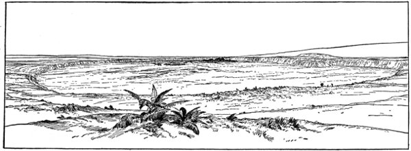 Fig. 8. View of the Crater of Kilauea from the Volcano House