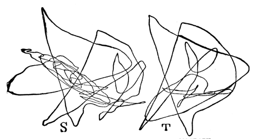 Fig. 51. Complex Record of Seismograph