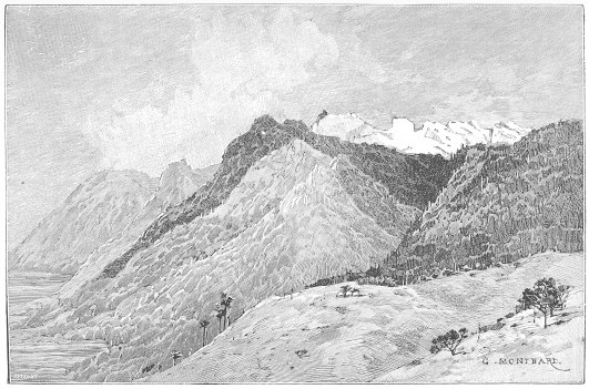 RUWENZORI, FROM MTSORA.