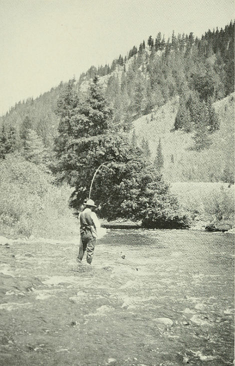 Man standing in Madison River, fishing.