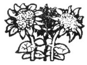 Dekoration - Sonnenblumen