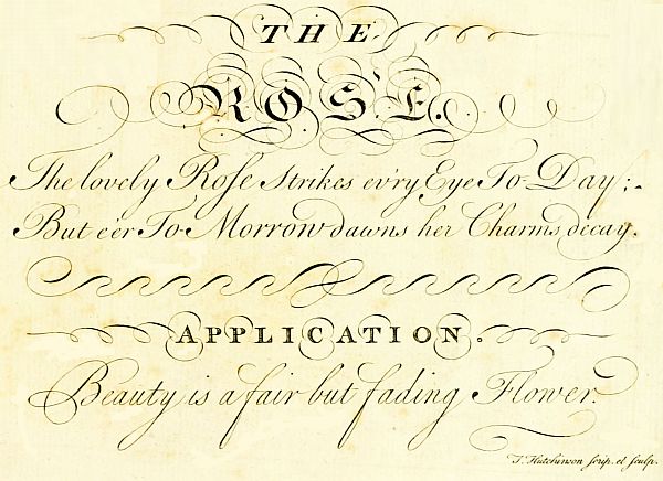 Rose poem and motto