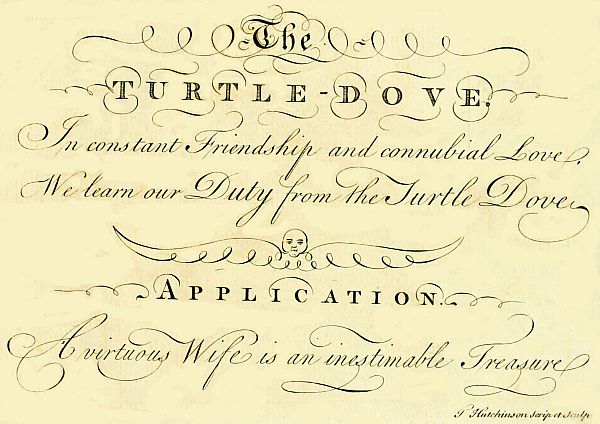 Turtledove poem and motto
