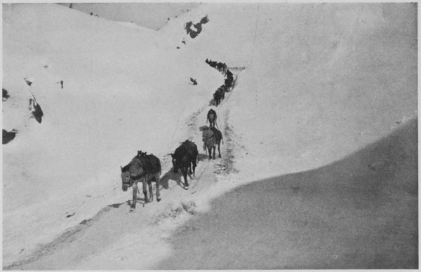 Coming down the White Pass—Winter.