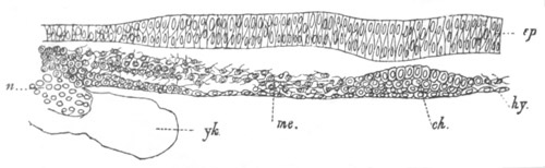 Illustration: Figure 100