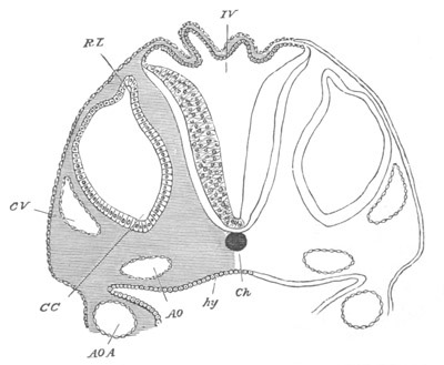 Illustration: Figure 301