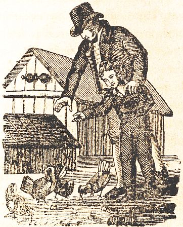 man and boy looking at chickens