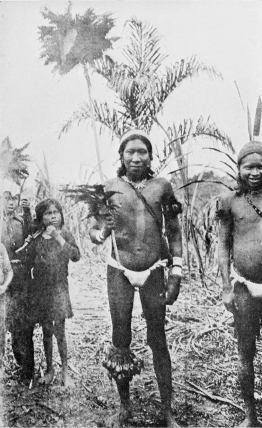 GUAMARES INDIANS, OF THE HUITOTO TRIBE, IN DANCE COSTUME.  To face p. 162.