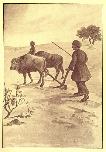 boy sitting on two oxen whil man holds plow