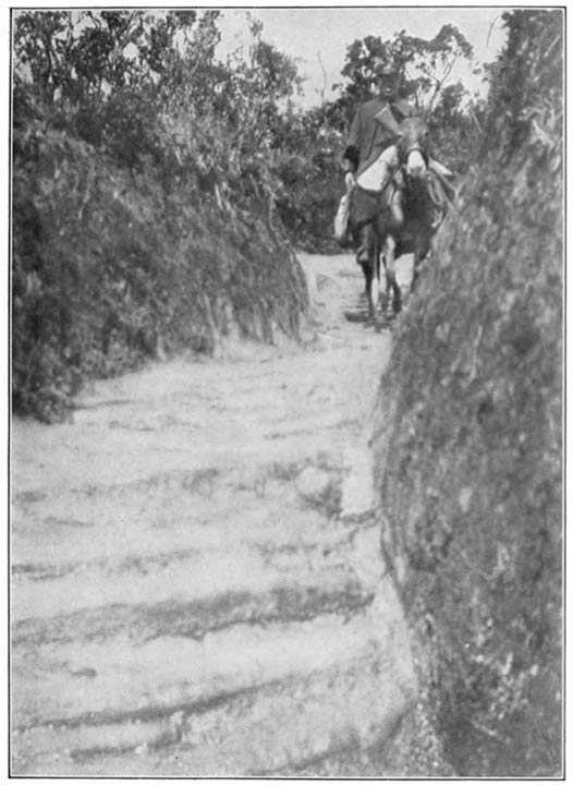 Road Between Bogotá and Honda.